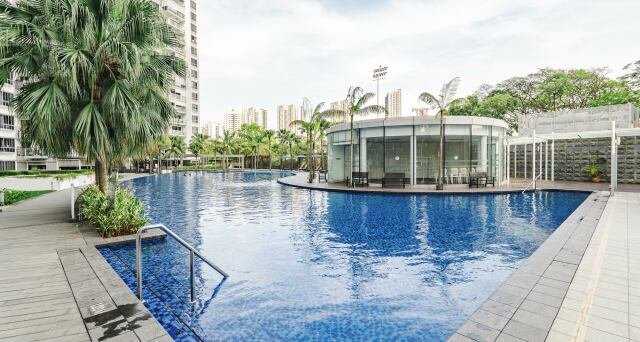 new launches this quarter