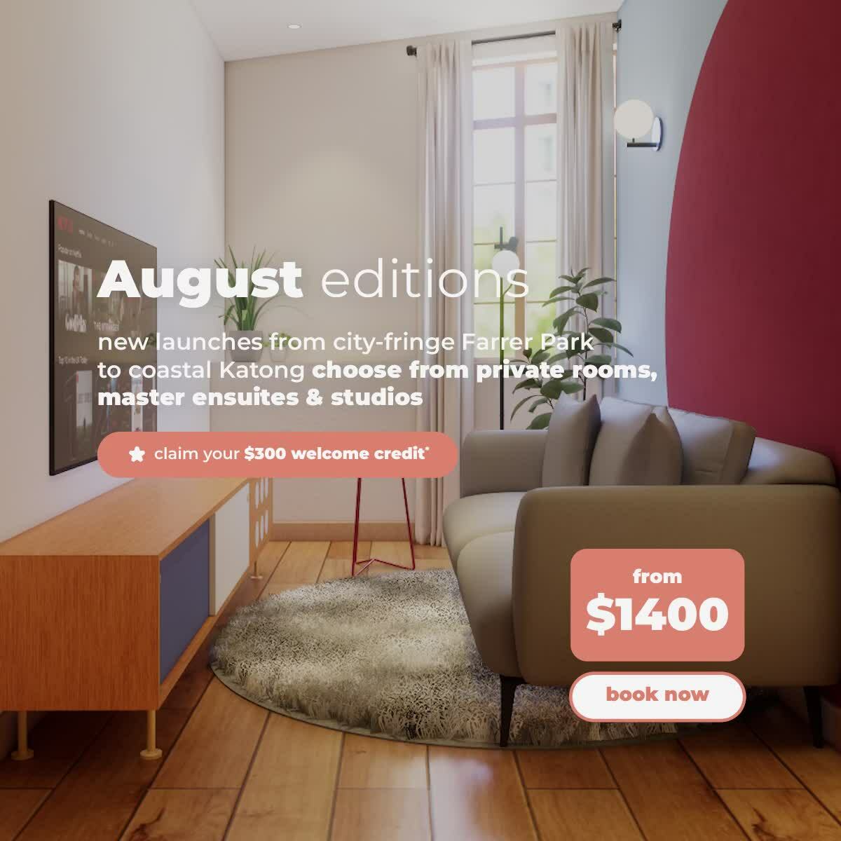 new launches this quarter