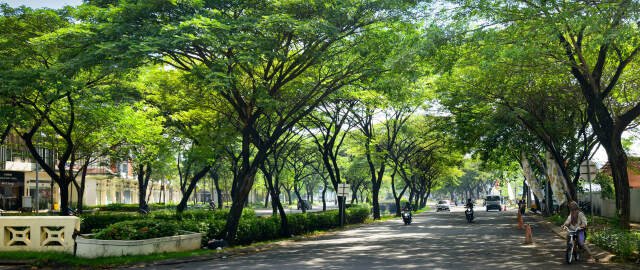 Wijaya