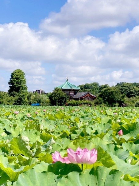 Ueno