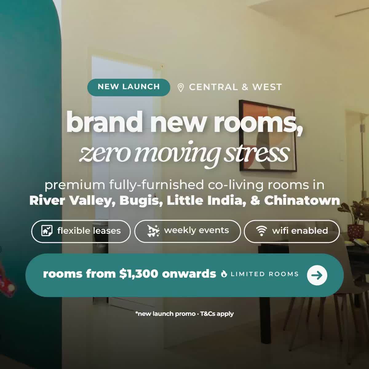 new launches this quarter