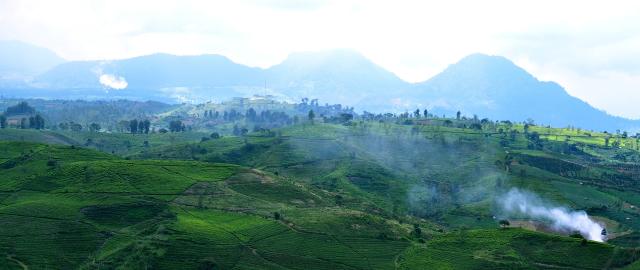 Jatinangor