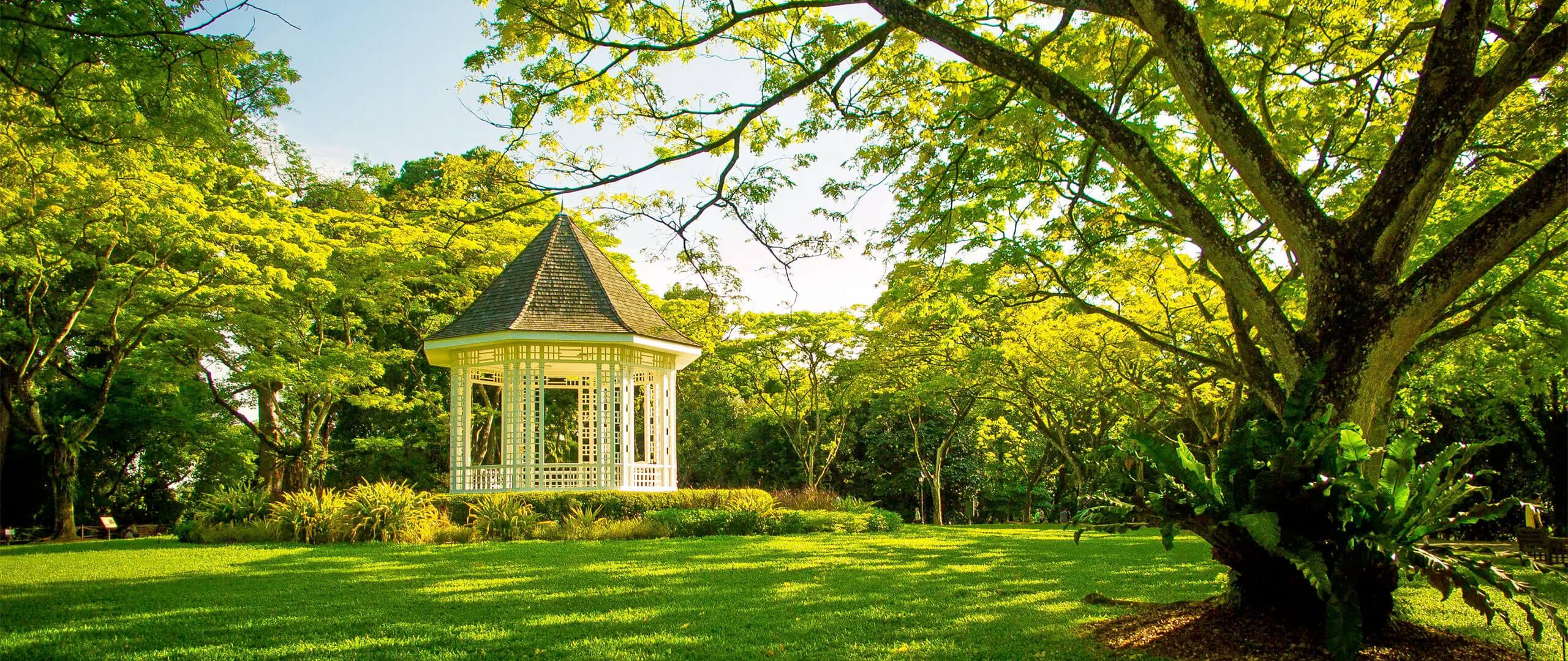 Botanic Gardens - Rooms & studios for rent – Cove